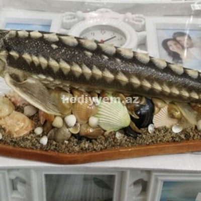 Qurudulmus Baliq Xerceng Tisbaga Suvenir
