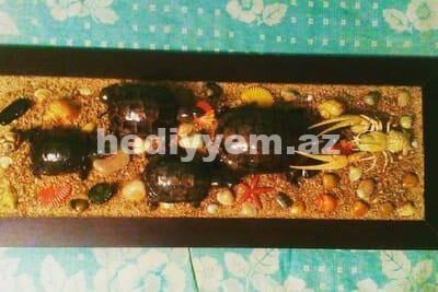 Qurudulmus Baliq Xerceng Tisbaga Suvenir