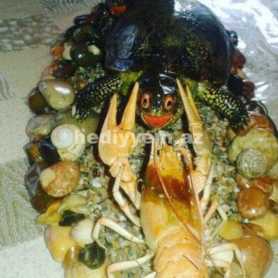 Suvenir Tebii Qurudulmus Tisbaga