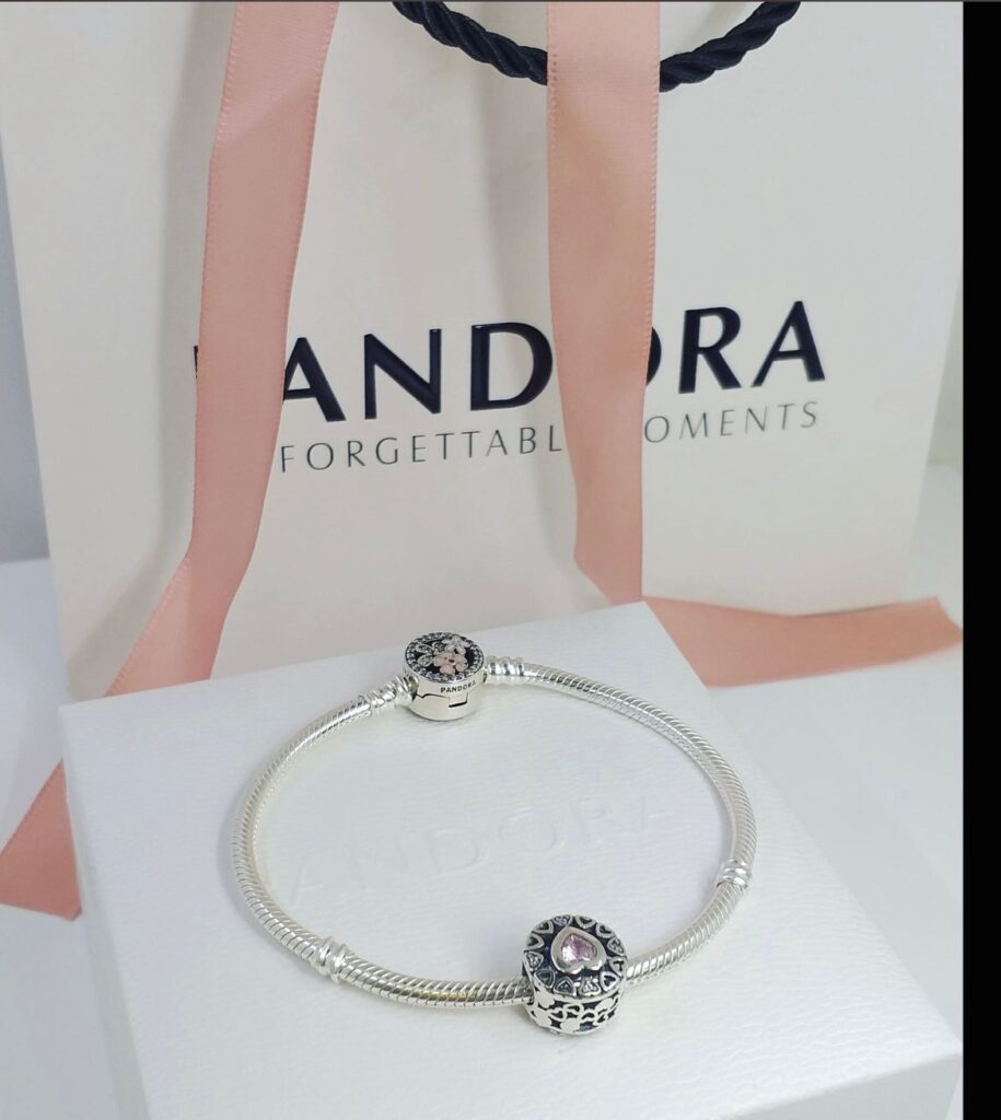 925 Gumus Pandora Qolbaq №d4