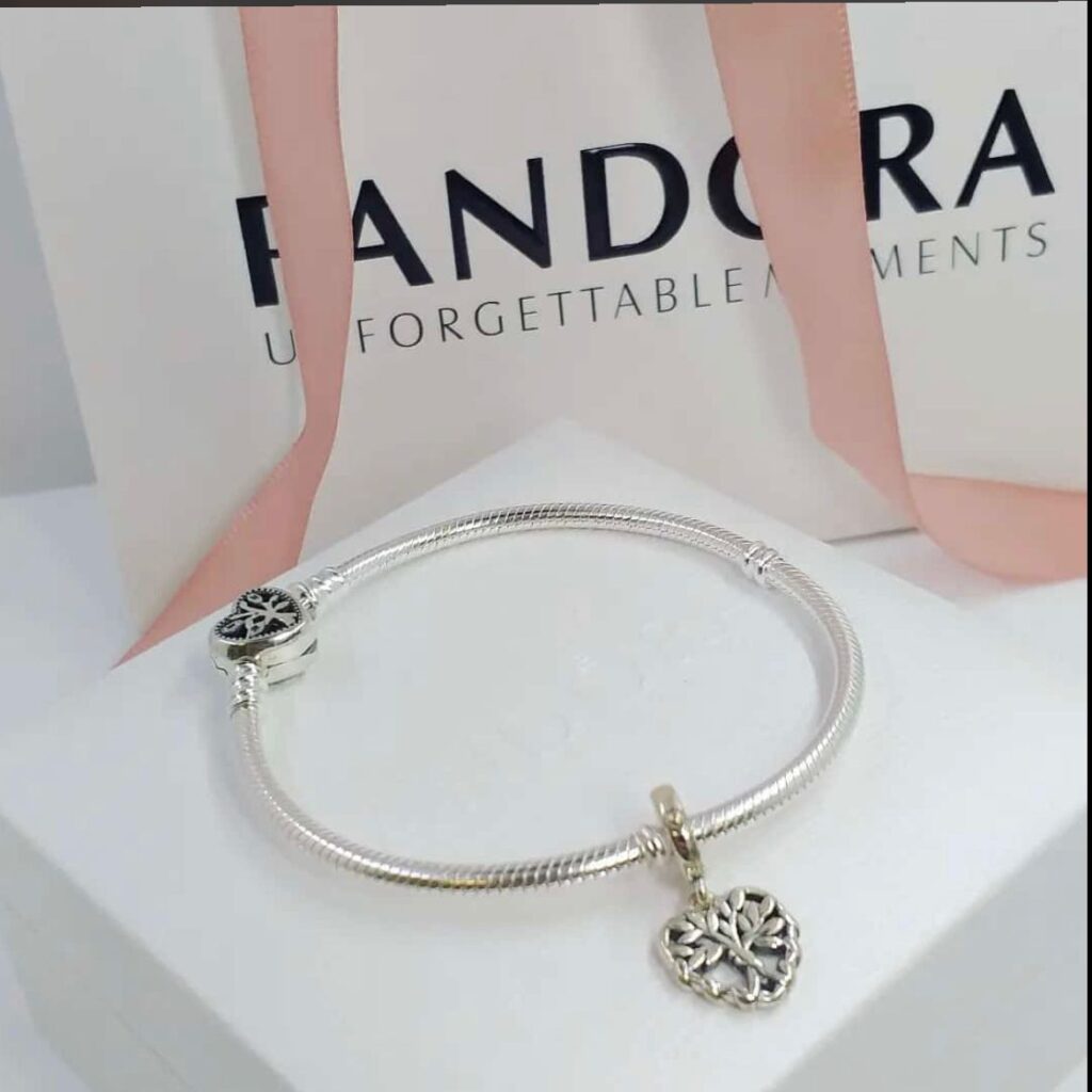 925 Gumus Pandora Qolbaq №d4