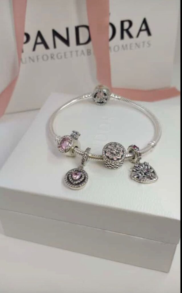 925 Gumus Pandora Qolbaq №d1
