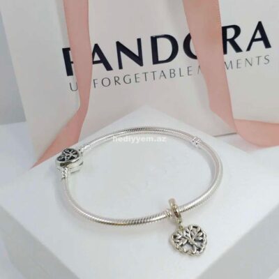 925 Gumus Pandora Qolbaq №c98