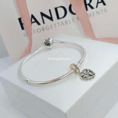 925 Gumus Pandora Qolbaq №c94