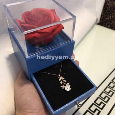 Qadinlar ucun hediyye №e63